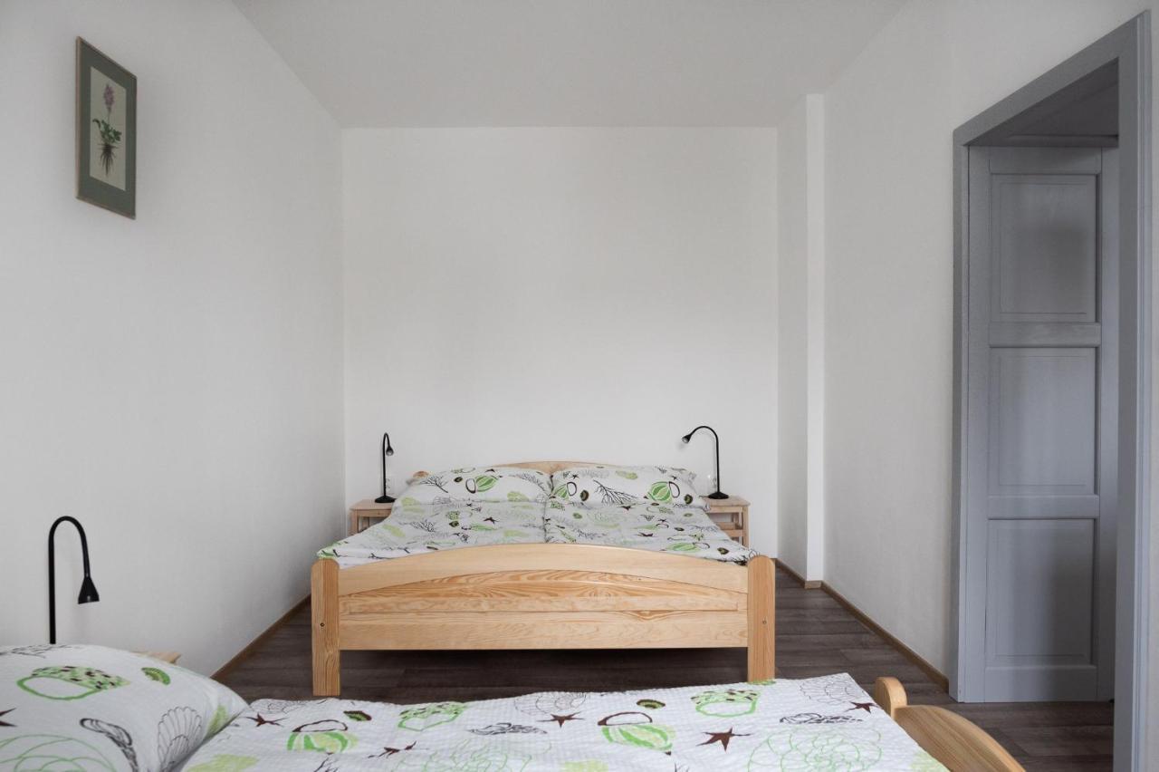Apartmány16 Olešnice v Orlických horách Olesnice v Orlickych horach Exterior foto
