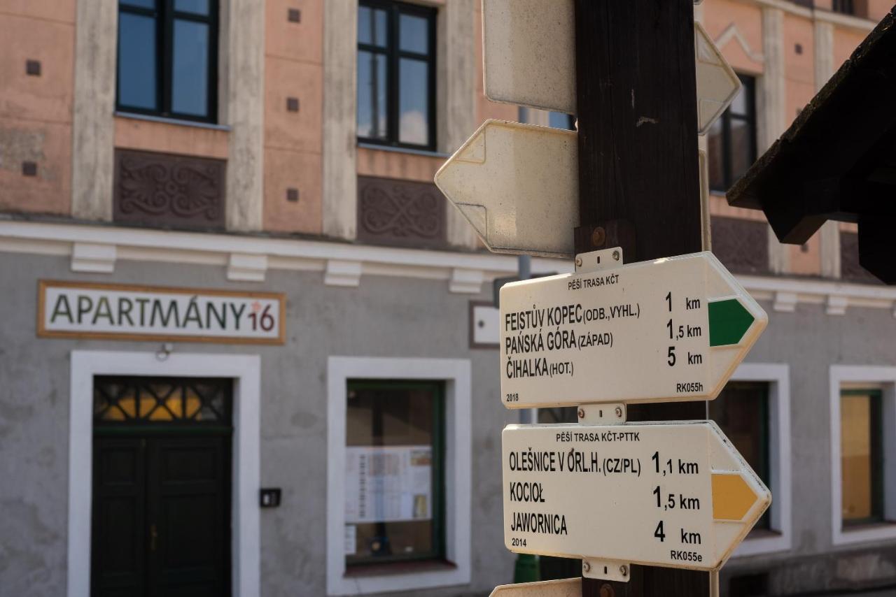 Apartmány16 Olešnice v Orlických horách Olesnice v Orlickych horach Exterior foto